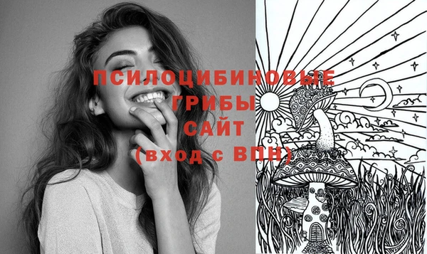 мдпв Куртамыш