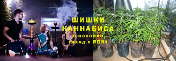 хмурый Ладушкин