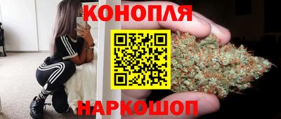 прущие грибы Донской