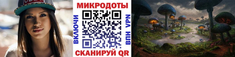 Галлюциногенные грибы Psilocybine cubensis купить наркоту Малгобек