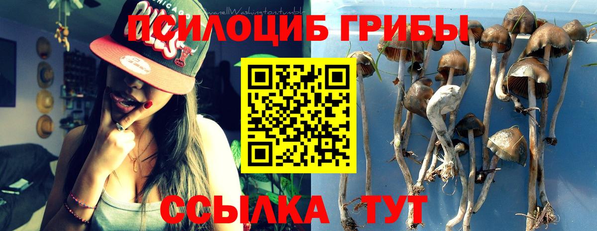 Псилоцибиновые грибы Psilocybine cubensis Малгобек