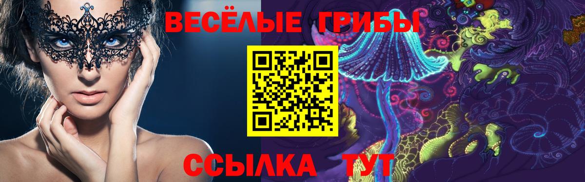 Галлюциногенные грибы прущие грибы  Вход с VPN  Малгобек 