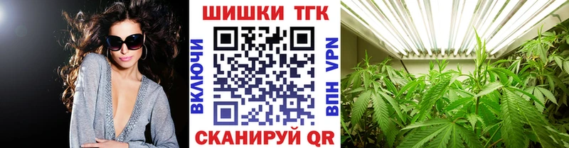 Шишки марихуана планчик  закладка  Малгобек 